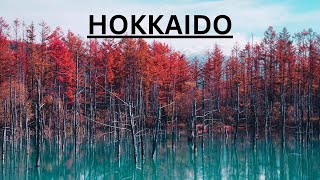 Hokkaido Best Places To Go In 2023 [upl. by Eymaj]