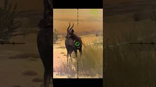 Sitatunga hunt  Namibia  hunting clash  shorts [upl. by Nodnorb97]