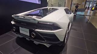 Lamborghini Huracan Evo RWD  the powerful Monster on the road [upl. by Fogel14]