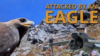 Eagle Attacks Drone in MidAir  DJI Air 3S [upl. by Hendrik]