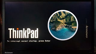 MacOS Big Sur on Lenovo ThinkPad T440s [upl. by Eyks]