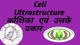 Ultrastructure of cell [upl. by Urdna]