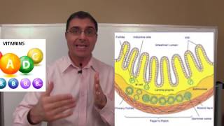 How to Test for Leaky Gut with Dr Rob [upl. by Fenwick87]