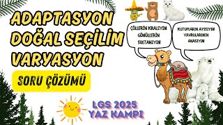 Adaptasyon Doğal Seçilim ve Varyasyon Soru Çözümü  2025 LGS Fen Bilimleri Yaz Kampı [upl. by Asirac]