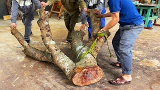 Extremely Unique 2000 USD Coffee Table Made From Ugly Large Tree Trunks  Masterpiece of Natural [upl. by Antoinetta]