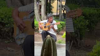 Mexican Street Guitarist [upl. by Enitram]