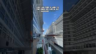 Should You Do Self Disembarkation at the End of Your Cruise [upl. by Assej646]