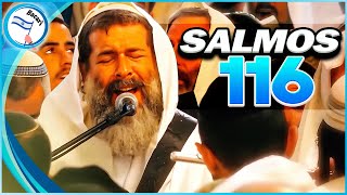 Salmos 116 cantados en la Sinagoga de las Cuevas de los Patriarcas y Matriarcas en Hebron [upl. by Gide344]