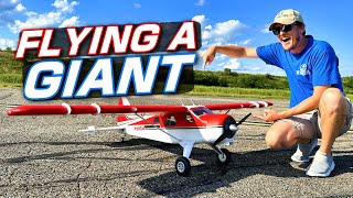 MASSIVE RC Airplane  FMS Beaver 2000mm [upl. by Blair]