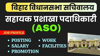 Bihar Vidhan Sabha Sachiwalay Assistant Section Officer Job Profile  Bihar Vidhan Sabha ASO Job [upl. by Yeruoc895]