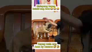 Matapang ka pala ha😂 shortvideo funny funnyvideo cttovideonotmine comedy comedyvideos reels [upl. by Ikik]