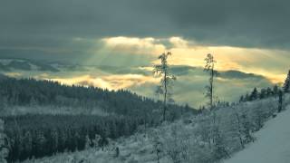 Arvo Pärt  Pari Intervallo Luca Massaglia organ [upl. by Shyamal262]