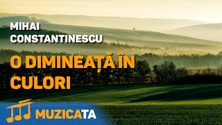 O dimineata in culori  Mihai Constantinescu [upl. by Fonseca]