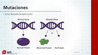 1º Secundaria  Biología  La herencia ADN genes y cromosomas Parte 2 [upl. by Andromede836]