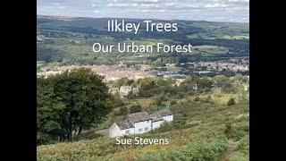 Ilkley Trees [upl. by Soracco889]