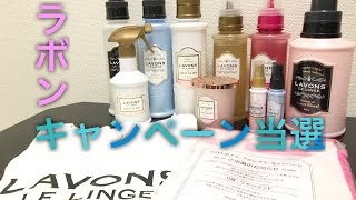 【ラボンキャンペーンまた当選】僕が使ってるLAVONSの洗剤とかの紹介。 [upl. by Aissac]