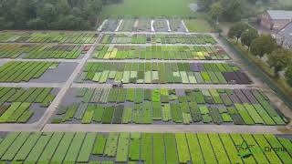 De Noordhoek Vaste Planten BV  Vaste Planten Kwekerij  Staudengärtnerei  Perennial Nursery [upl. by Aiynat]