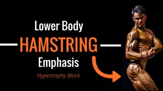 Lower Body  Hamstring Emphasis plus MPS chat [upl. by Ailicec]