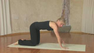 Yoga Chaturanga Dandasana [upl. by Etterrag291]