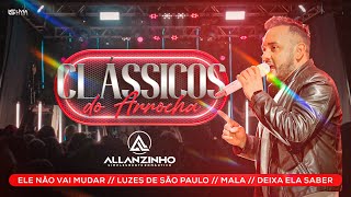 ALLANZINHO  Clássicos do arrocha [upl. by Ssidnac]