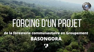 FORCING DU PROJET DE LA FORESTERIE COMMUNAUTAIRE EN GROUPEMENT BASONGORA [upl. by Camroc415]