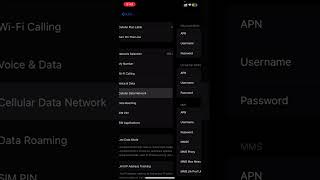 Reset Cellular Data for Better Signal – How to Do It on iPhone [upl. by Aroel201]