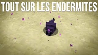 Tout sur les Endermites  Minecraft 18  FR [upl. by Adnalram]