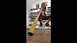 Example of Traditional Aboriginal YidakiDidgeridoo Being Played [upl. by Tearle]