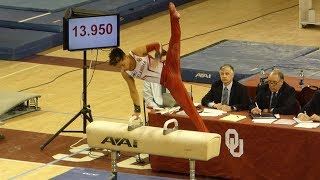 Yul Moldauer Pommel Horse set vs Iowa  Oklahoma Gymnastics [upl. by Irahk]