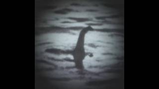 quotThe Beast Of Lochnessquot  Nessie Edit lochnessmonster nessie beast [upl. by Navek]