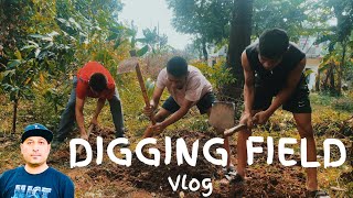 Digging Field  Harvesting Coconut on Holiday field digging village [upl. by Anyahc]