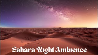 Desert Dreams Sahara Night Ambience [upl. by Adamsun352]