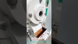 60 TD Maize corn Flour Milling machine maize grits grinding corn flour milling making machines [upl. by Johannessen284]