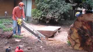 chainsaw milling a sequoia [upl. by Aicenod]