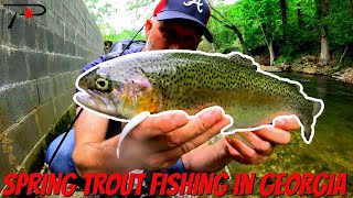 Georgia Spring Trout Fishing [upl. by Novyak]