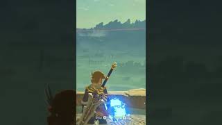 BLSS So Fun The Legend of Zelda Breath of The Wild thelegendofzeldabreathofthewild [upl. by Alyaj]