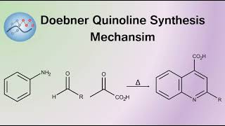 Doebner Quinoline Synthesis Mechanism  Organic Chemistry [upl. by Suravart846]