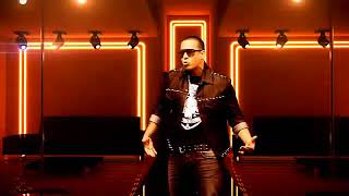 90 DADDY YANKEE Perros Salvajes remix  DJ FABIAN [upl. by Akibma]