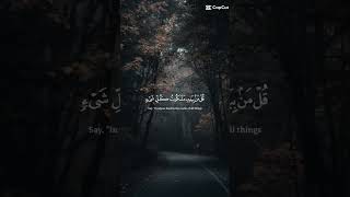 ٢١ تشرين الأول ٢٠٢٤ [upl. by Eido]