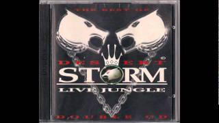 The Best Of Desert Storm Live Jungle Part 1 feat Grooverider Plus The Ragga Twins And MC Navigator [upl. by Parke]