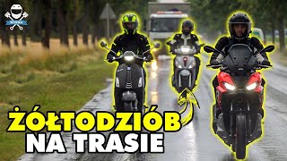 WŁOSKIE Skutery 125 Na TRASIE PIAGGIO VESPA APRILIA 125 [upl. by Epilihp]