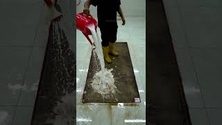 Pile Lifting – Lifts carpet fibers to restore appearance [upl. by Orson]