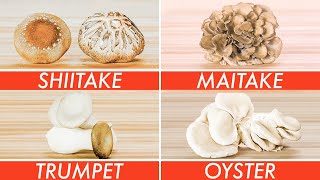 Trying Every Type Of Mushroom  The Big Guide  Epicurious [upl. by Dorehs]