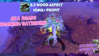 Wood Gathering 10mil profit  Ava Roads Roaming Gathering Adventure Pt3  Albion Online ava roads [upl. by Eglantine]