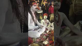 Aghori Manikandan 22012019 at Prayagraj Kumbh Mela  Part 2 [upl. by Eisle674]