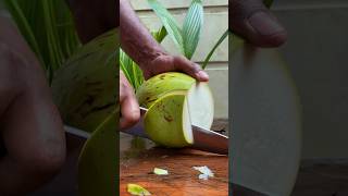 pure green coconut coconutcutting greencoconut [upl. by Nwahsor323]