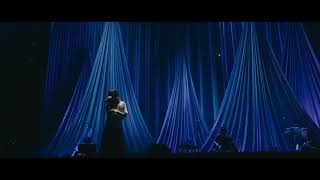 Aimer  六等星の夜 quot10th Anniversary Final quotCycle de 10 ansquot LIVE [upl. by Amadas]