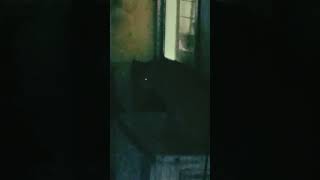 first time Saw direct ghost at night 🙀virashorts viralvideo hororplace horrorshorts scaryfacts [upl. by Saville]