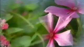 Los Melodicos  Tabu Karaoke 2010wmv [upl. by Jessey889]