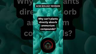 GCSE Biology Paper 2 Nitrogen Cycle  Science Quiz Question 163 [upl. by Keldon]